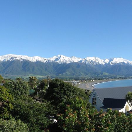 Dolphin Lodge Kaikoura Exterior photo