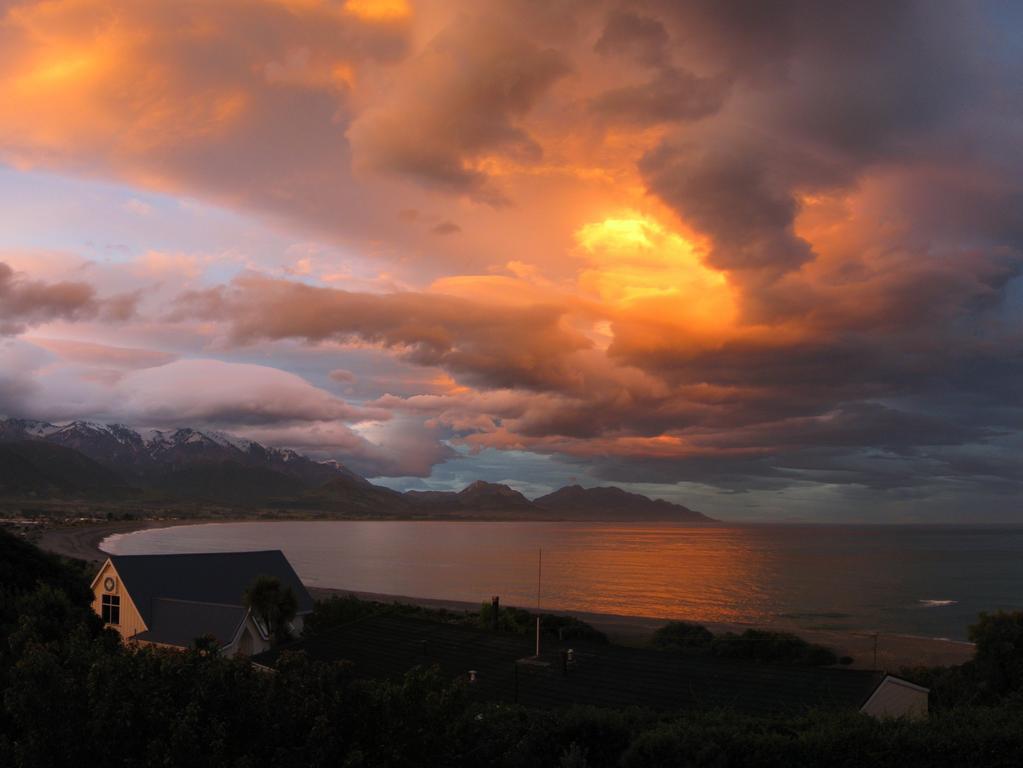 Dolphin Lodge Kaikoura Exterior photo