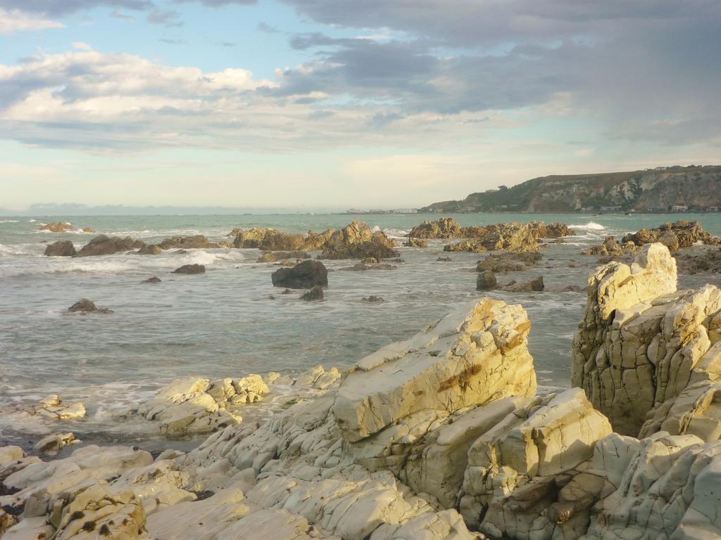 Dolphin Lodge Kaikoura Exterior photo