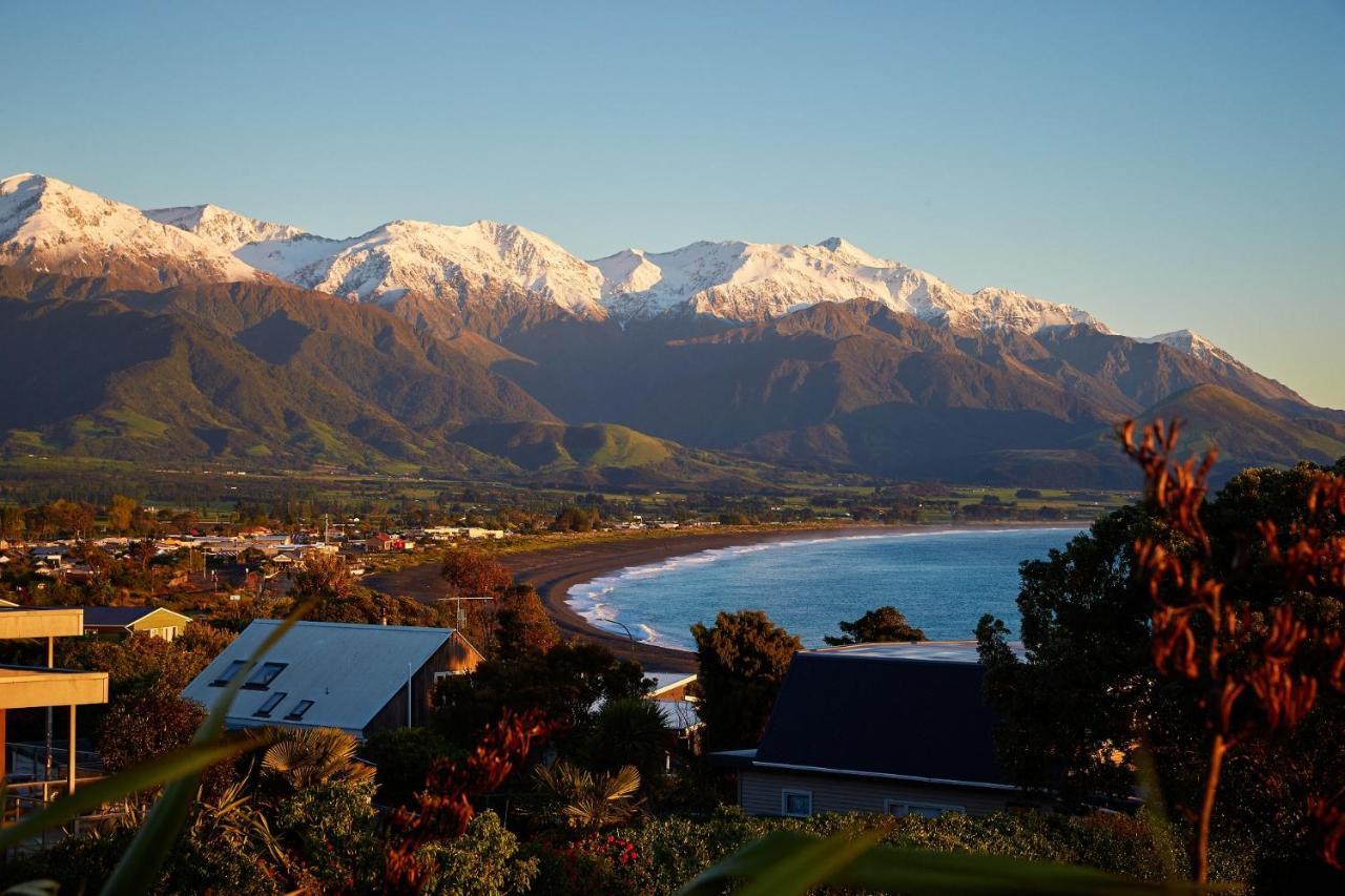 Dolphin Lodge Kaikoura Exterior photo